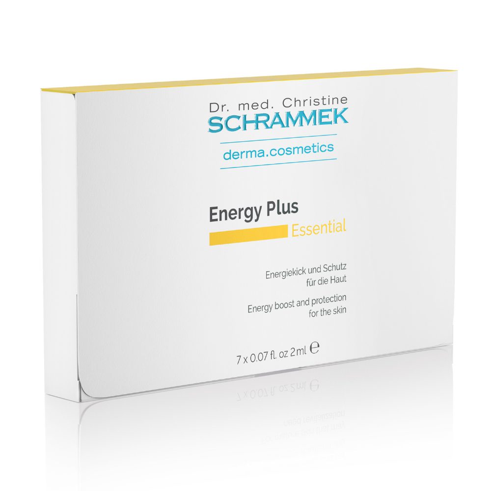 Energy Plus
