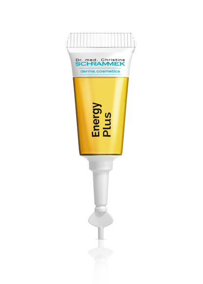 Energy Plus