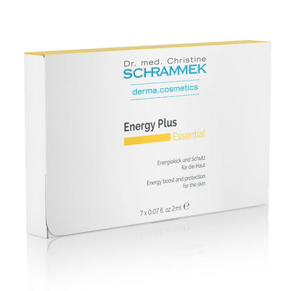 Energy Plus